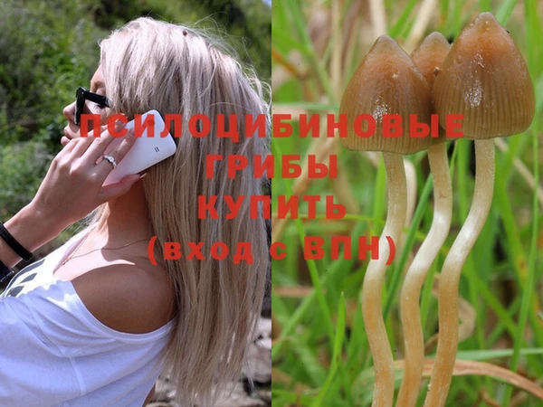 круглые Карпинск