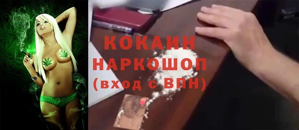spice Каменка