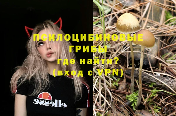 таблы Каменногорск